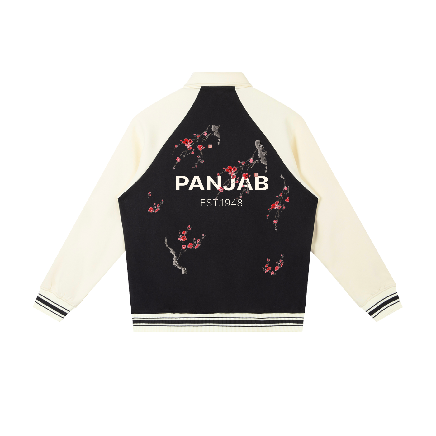 Panjab Jacket